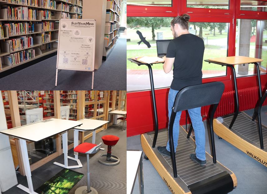 Bild der Walkolution-Lösung des FlexYourMind Projekts
