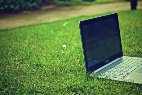 2020-03-17_picography-laptop-grass