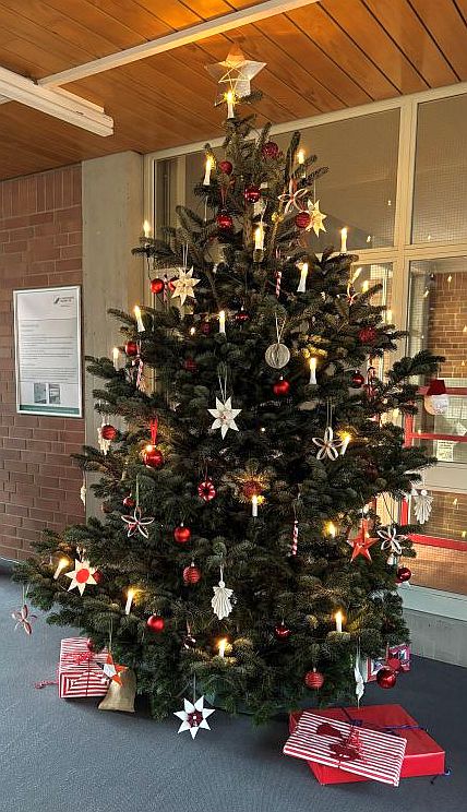 Christams tree Main Library
